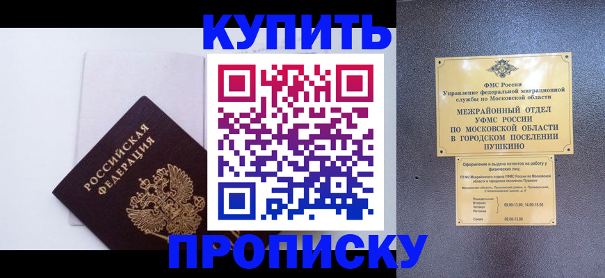 найти адрес прописки в Североморске
